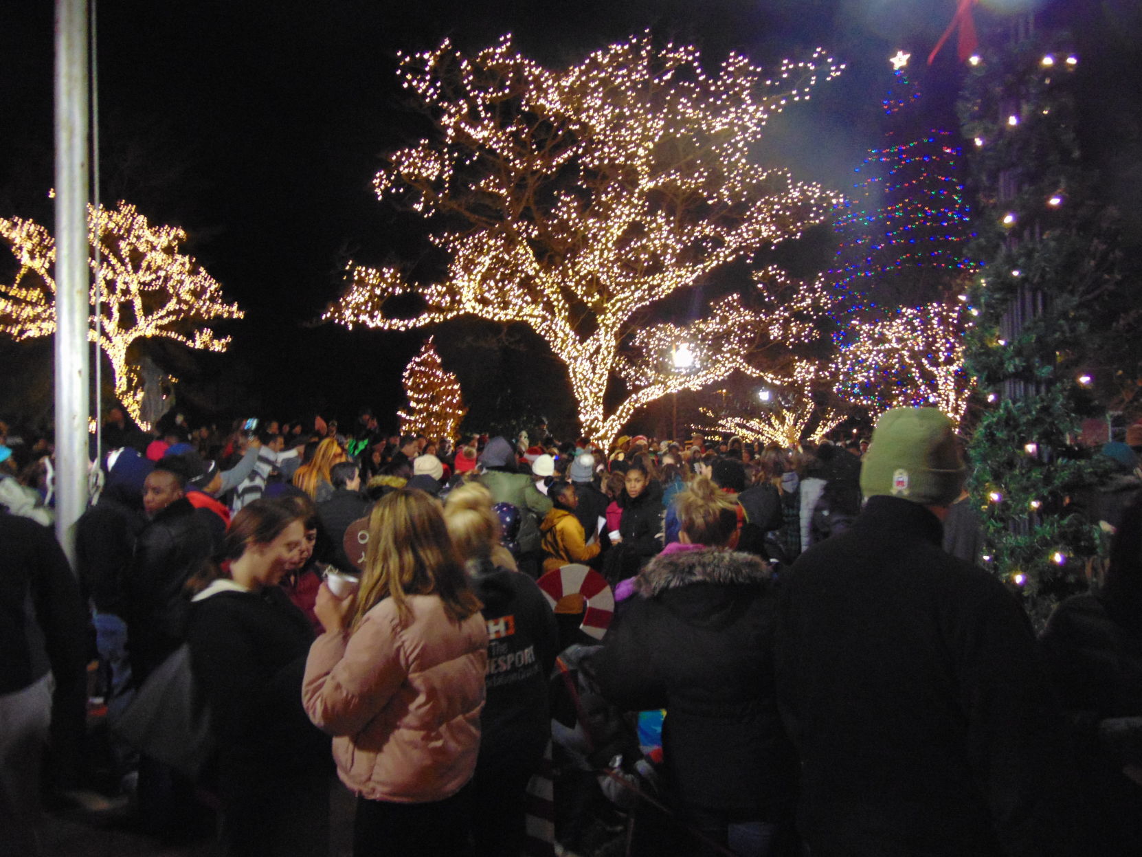 HAM tree lighting 143a 1205-9.JPG